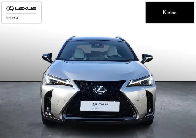 LEXUS UX 300h F Sport AWD