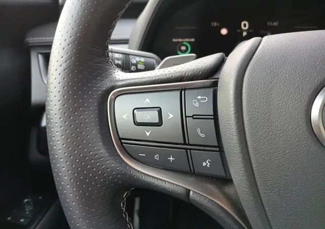 LEXUS UX 300h F Sport AWD