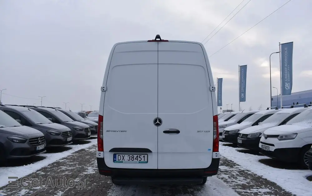 MERCEDES-BENZ 317 CDI LONG PRO 907.635 