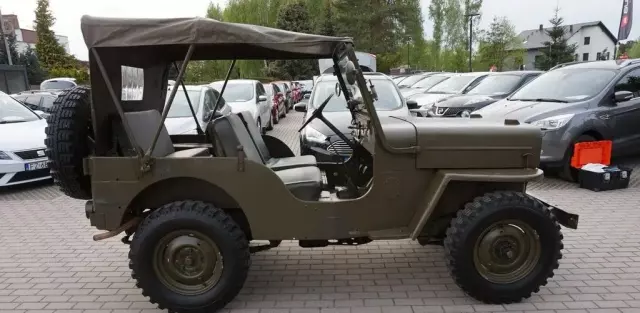 JEEP Willys 