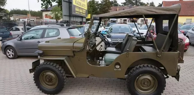 JEEP Willys 