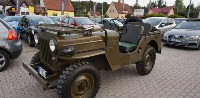 JEEP Willys 