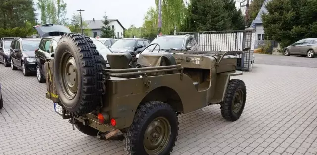 JEEP Willys 