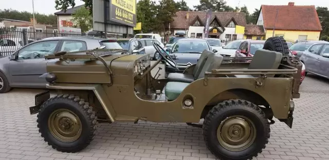 JEEP Willys 