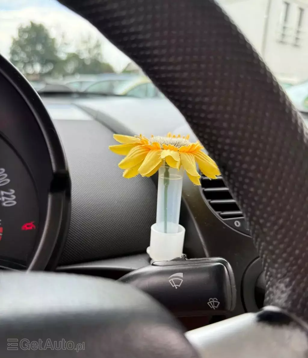 VOLKSWAGEN New Beetle 