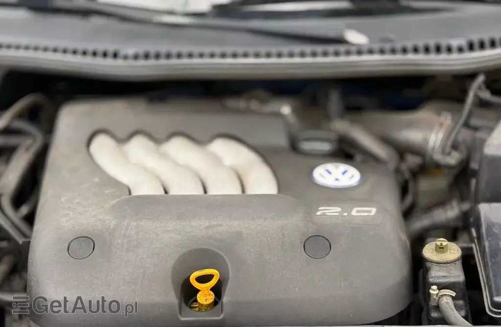 VOLKSWAGEN New Beetle 