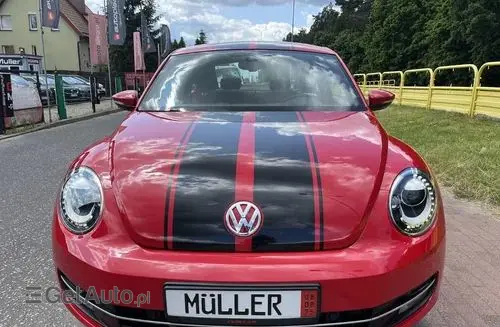 VOLKSWAGEN Beetle 