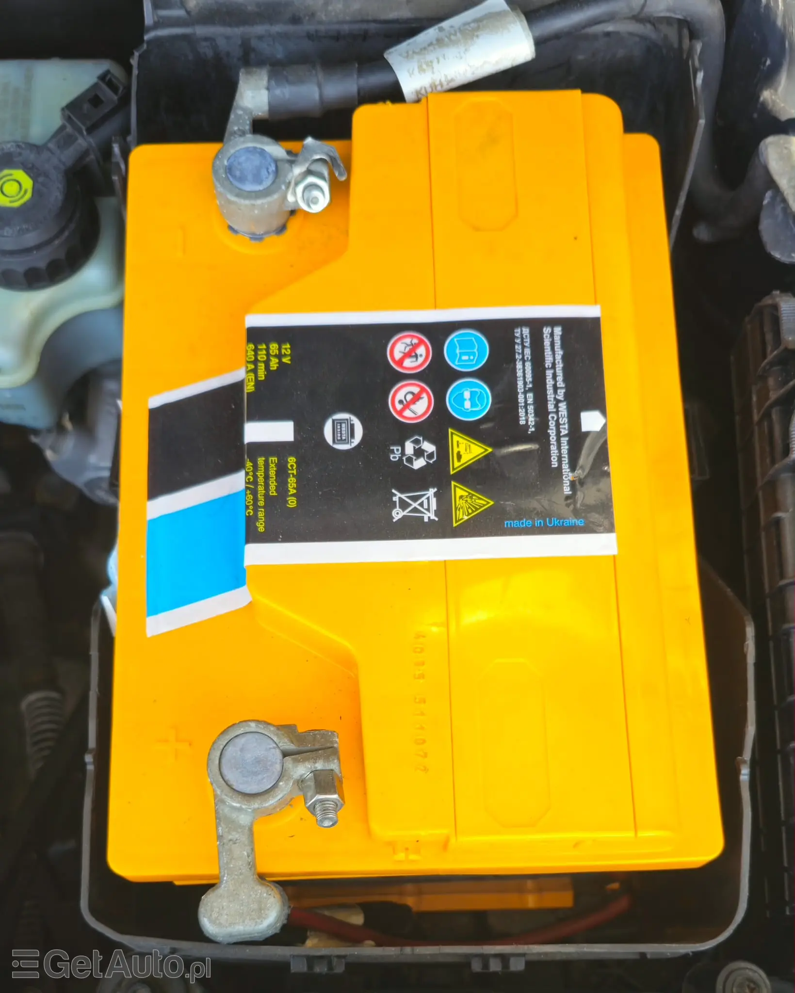 VOLKSWAGEN Golf Plus Comfortline BlueMotion