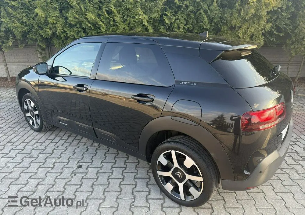 CITROËN C4 Cactus 