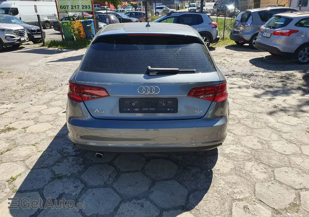 AUDI A3 Sportback 1.6 TDI DPF Ambiente