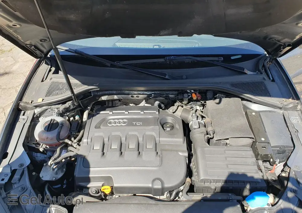 AUDI A3 Sportback 1.6 TDI DPF Ambiente