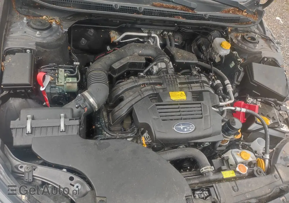 SUBARU Outback 2.5i Platinum (EyeSight) Lineartronic