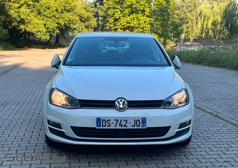 VOLKSWAGEN Golf 1.6 TDI DPF Highline
