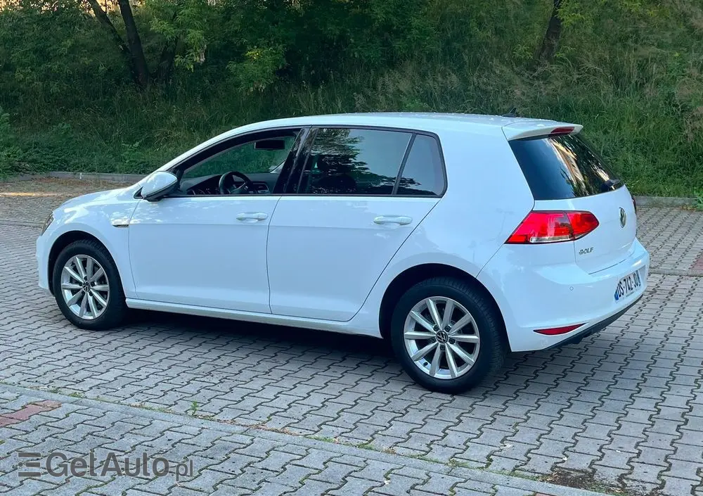 VOLKSWAGEN Golf 1.6 TDI DPF Highline
