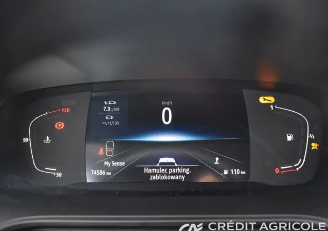 RENAULT Megane 1.3 TCe FAP Intens