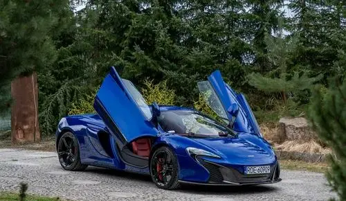 MCLAREN 650S 