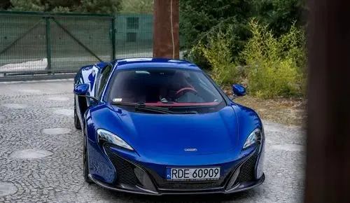 MCLAREN 650S 