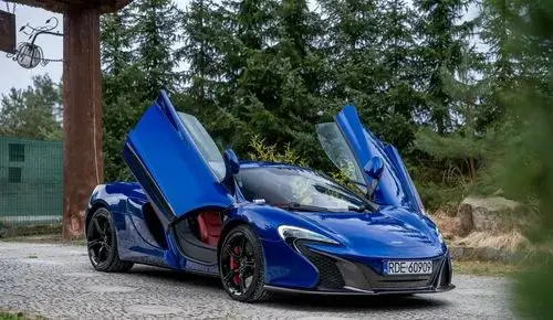 MCLAREN 650S 