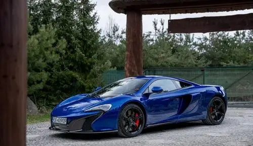 MCLAREN 650S 