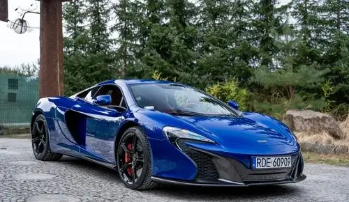 MCLAREN 650S 