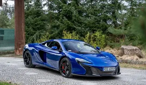 MCLAREN 650S 