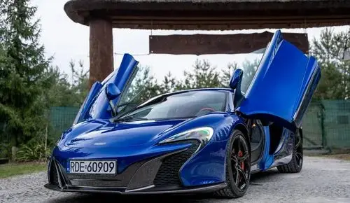 MCLAREN 650S 