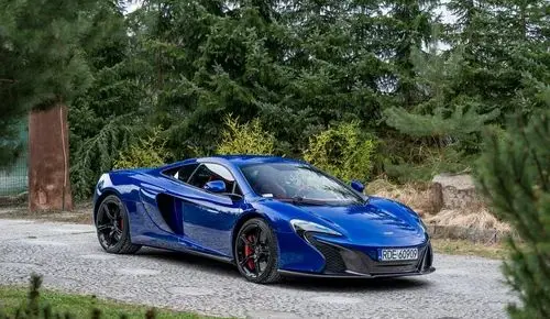 MCLAREN 650S 