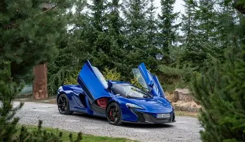 MCLAREN 650S 
