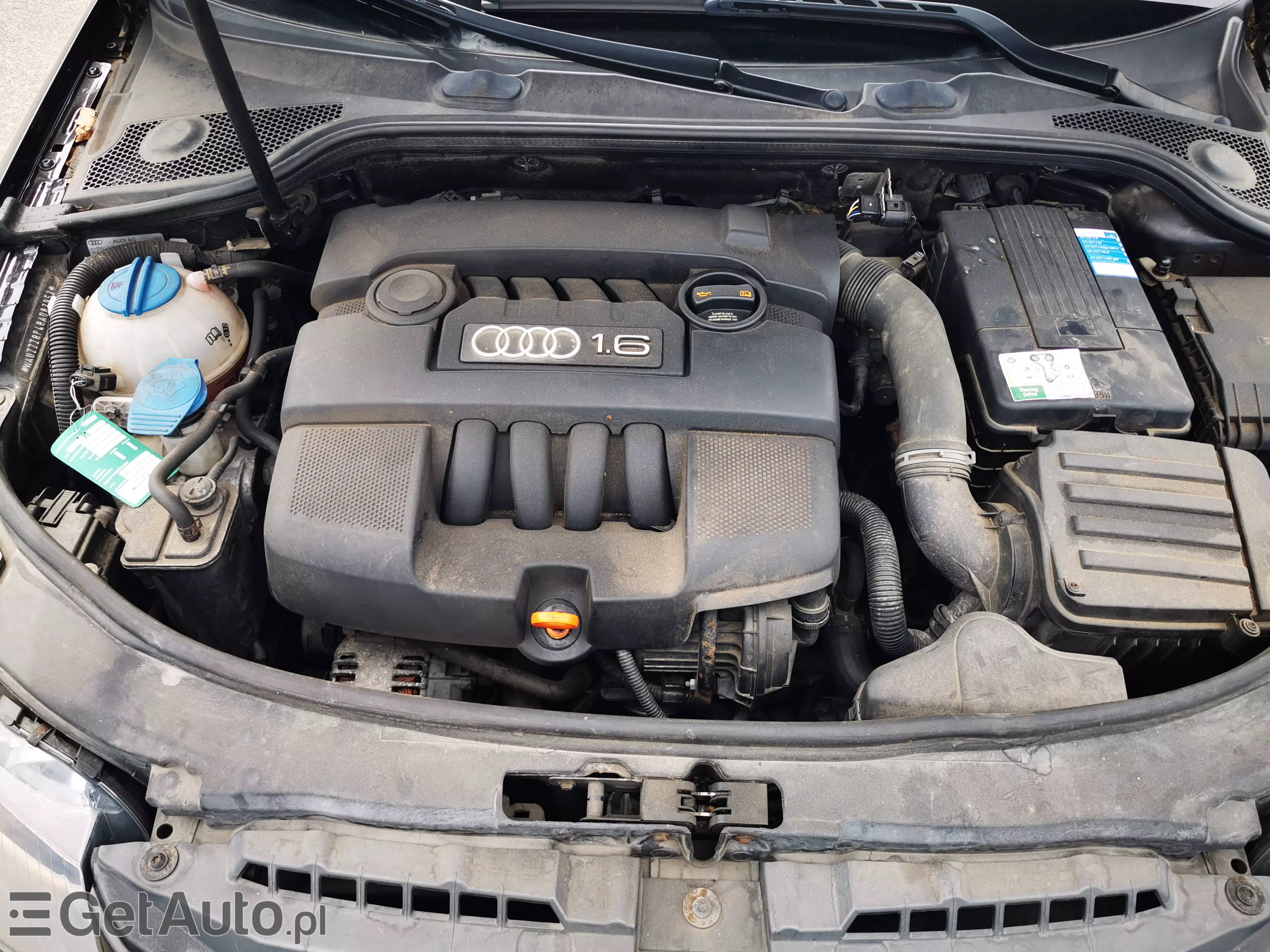 AUDI A3 1.6 Attraction