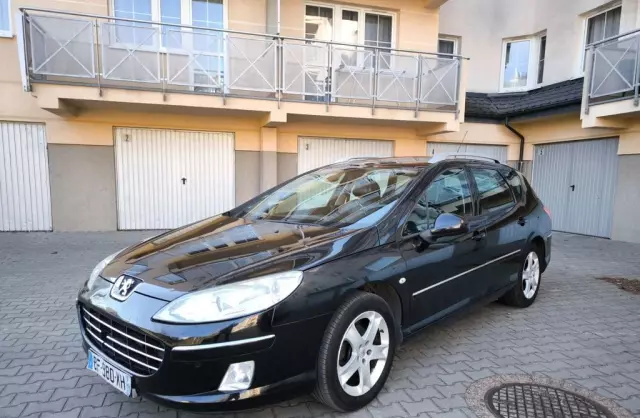 PEUGEOT 407 