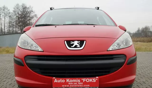 PEUGEOT 207 