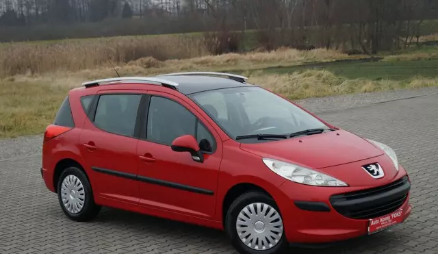 PEUGEOT 207 