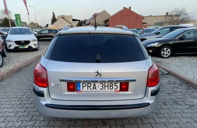 PEUGEOT 407 