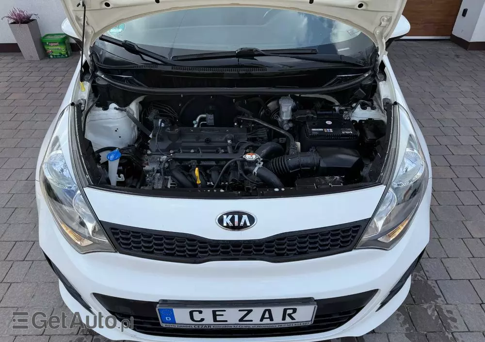 KIA Rio 