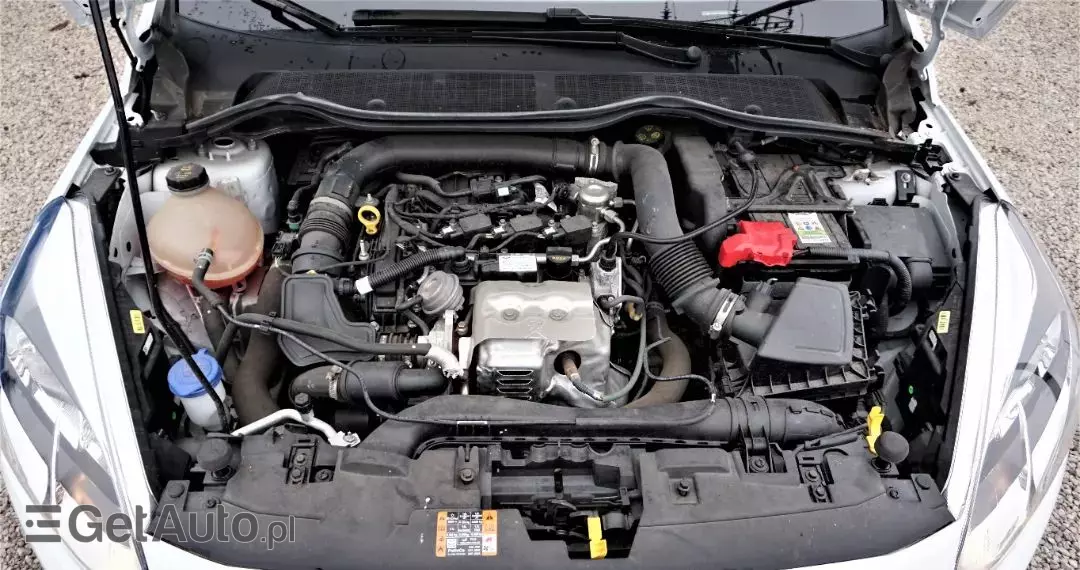 FORD Fiesta 1.0 EcoBoost S&S ACTIVE COLOURLINE