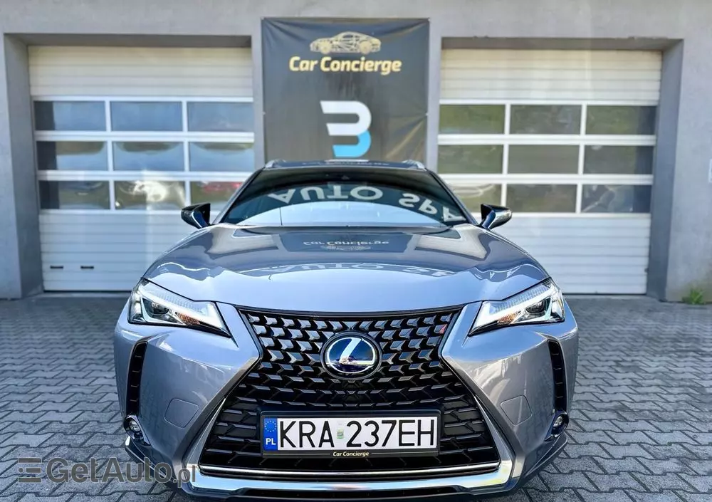LEXUS UX 250h Business Edition