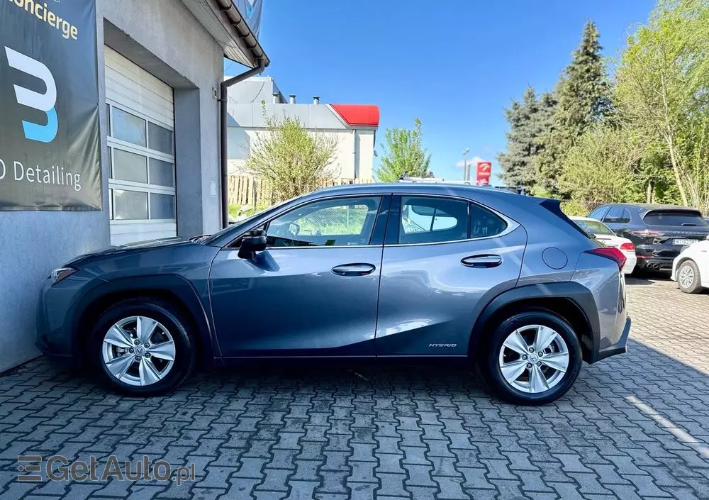 LEXUS UX 250h Business Edition