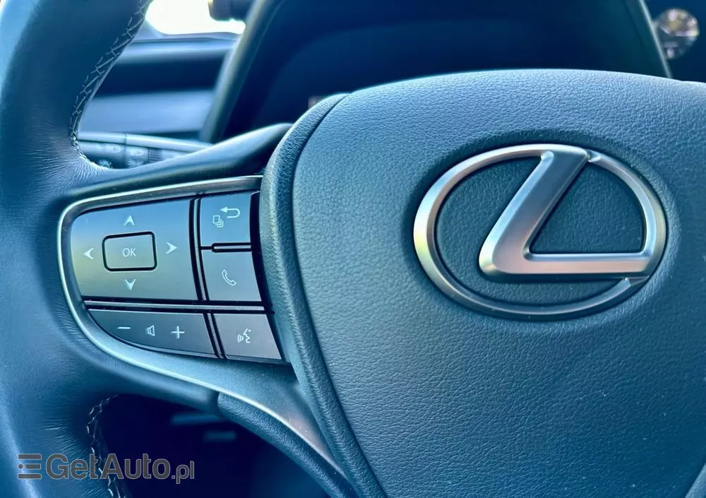 LEXUS UX 250h Business Edition