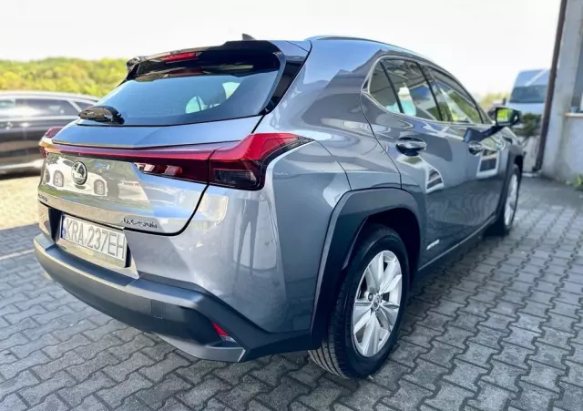 LEXUS UX 250h Business Edition
