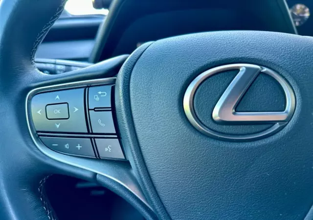 LEXUS UX 250h Business Edition