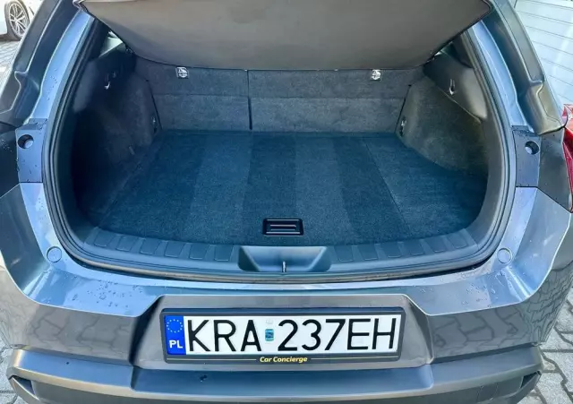 LEXUS UX 250h Business Edition