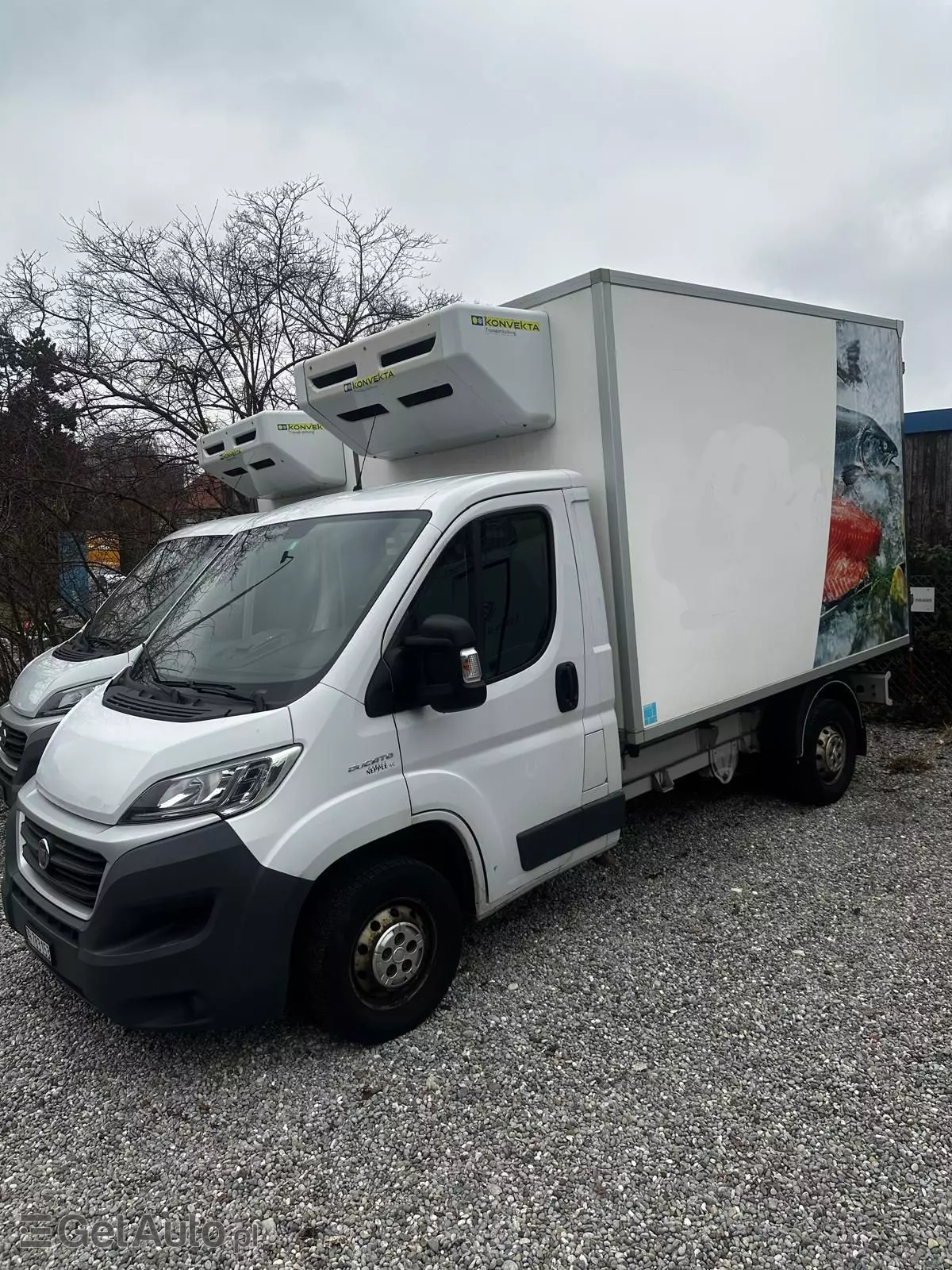 FIAT Ducato  Ducato