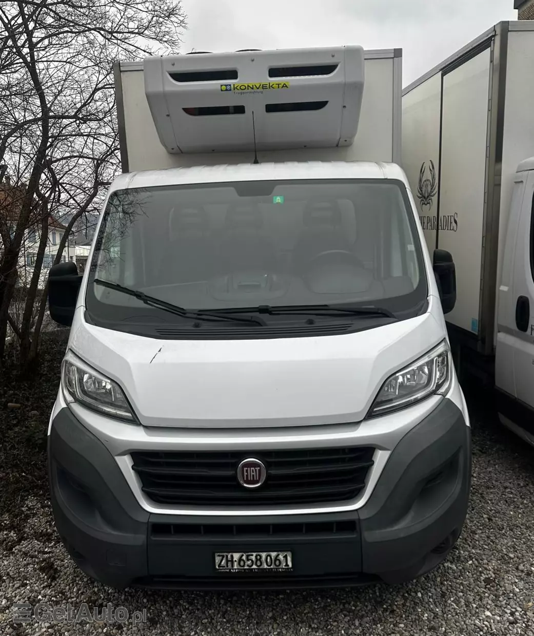 FIAT Ducato  Ducato