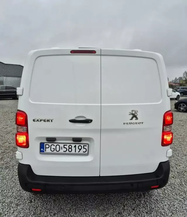 PEUGEOT Expert 