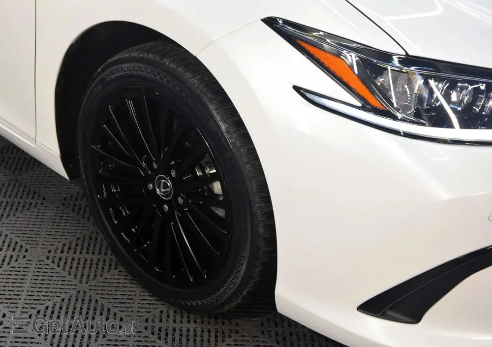 LEXUS ES 300h Business Line