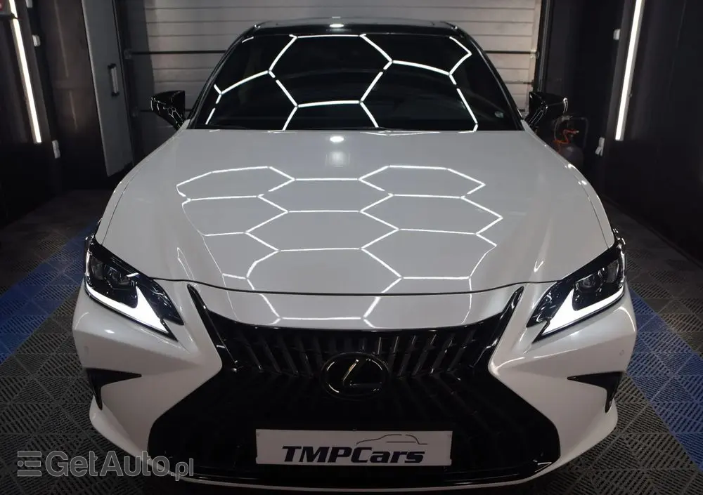 LEXUS ES 300h Business Line