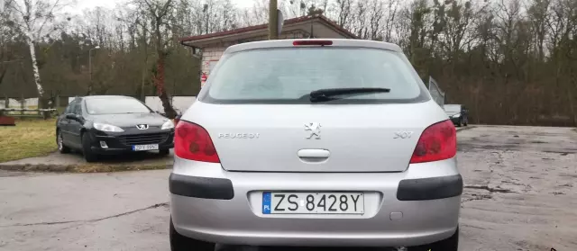 PEUGEOT 307 1.4 (75 KM)