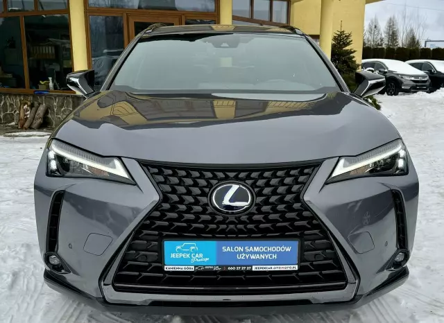 LEXUS UX 250h GPF F Sport Edition 2WD