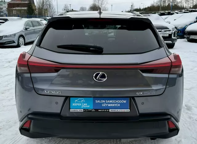 LEXUS UX 250h GPF F Sport Edition 2WD