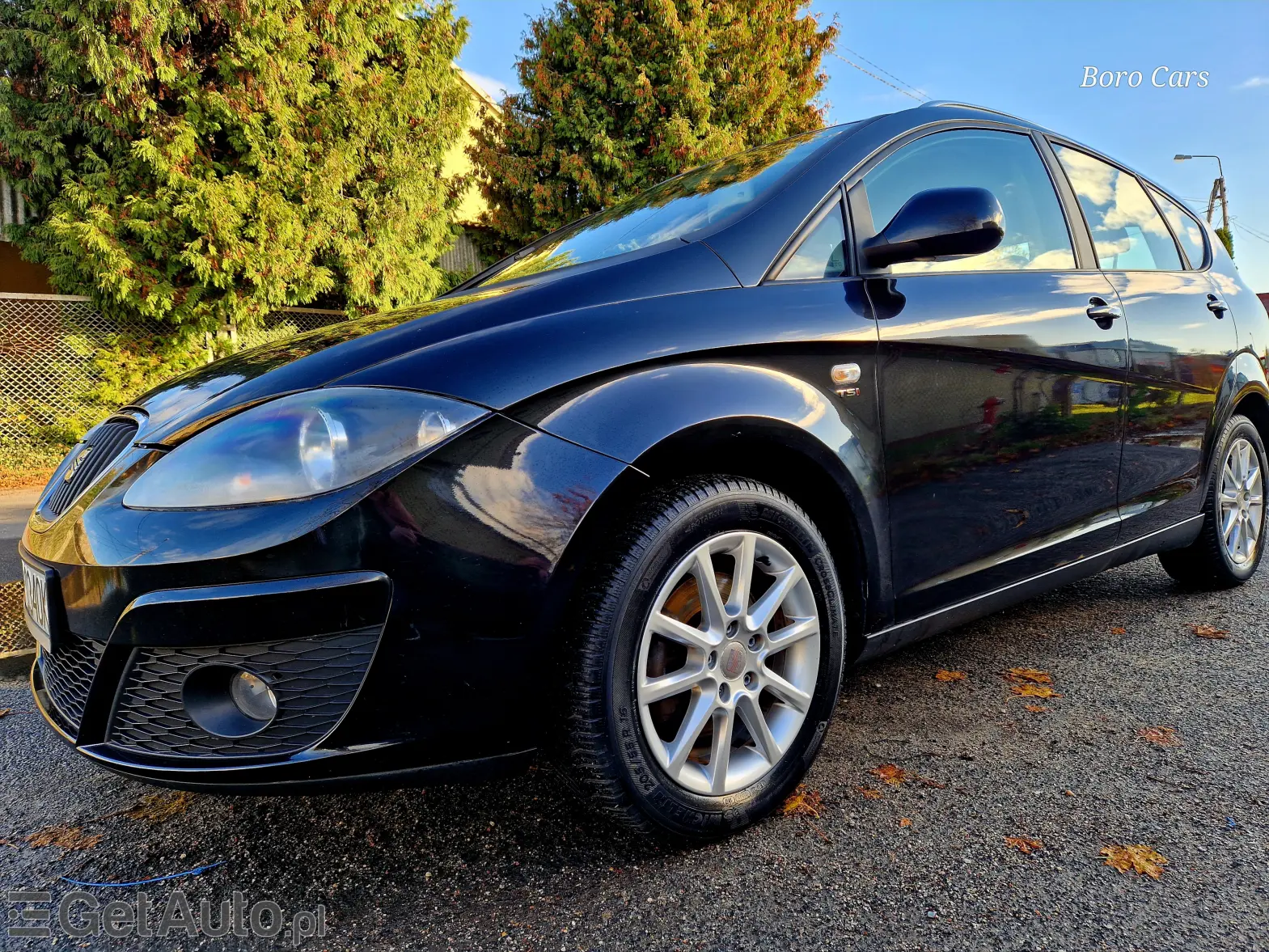 SEAT Altea Reference